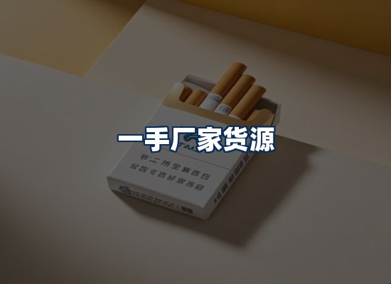 专业团队办公环境